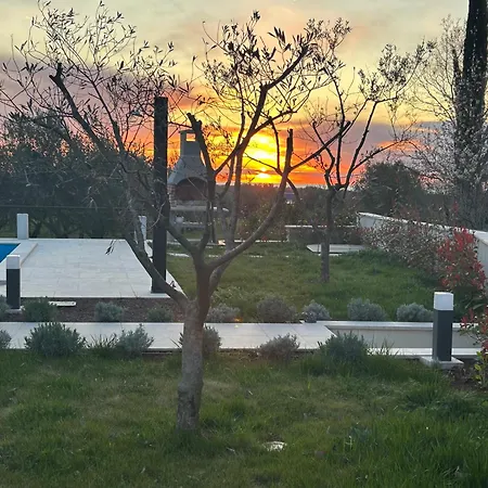 Milanezi *